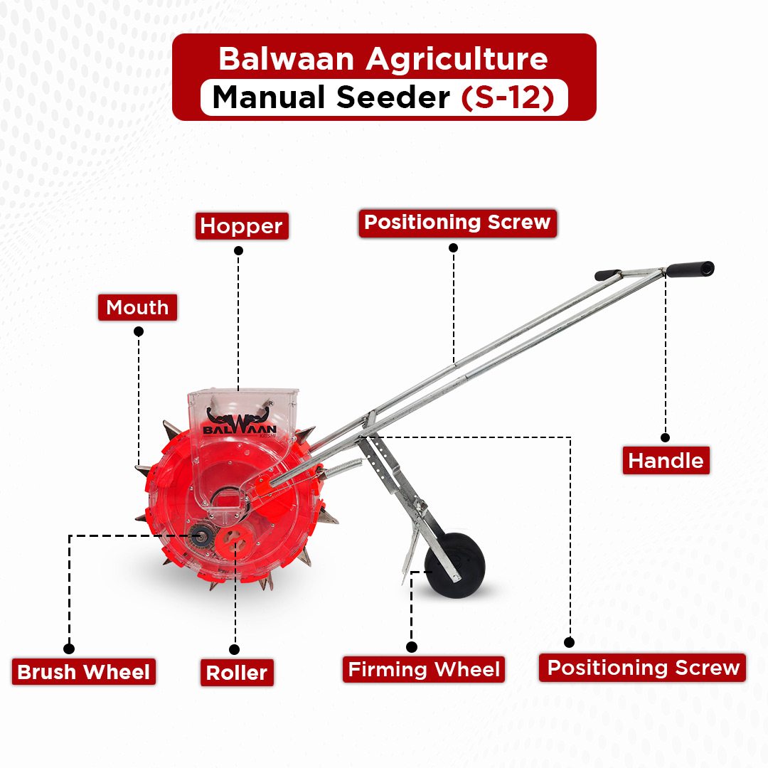 BALWAAN Seeder 12 T 6.5cm  S- 12