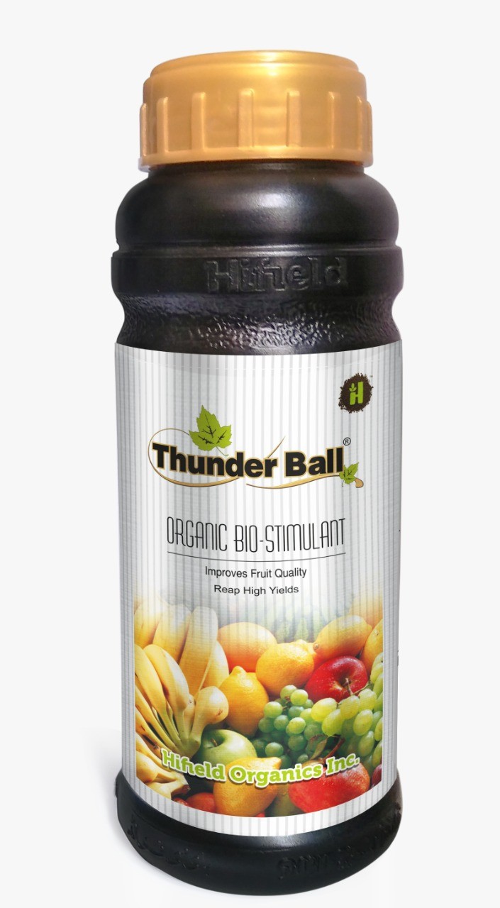 Hifield Thunder Ball