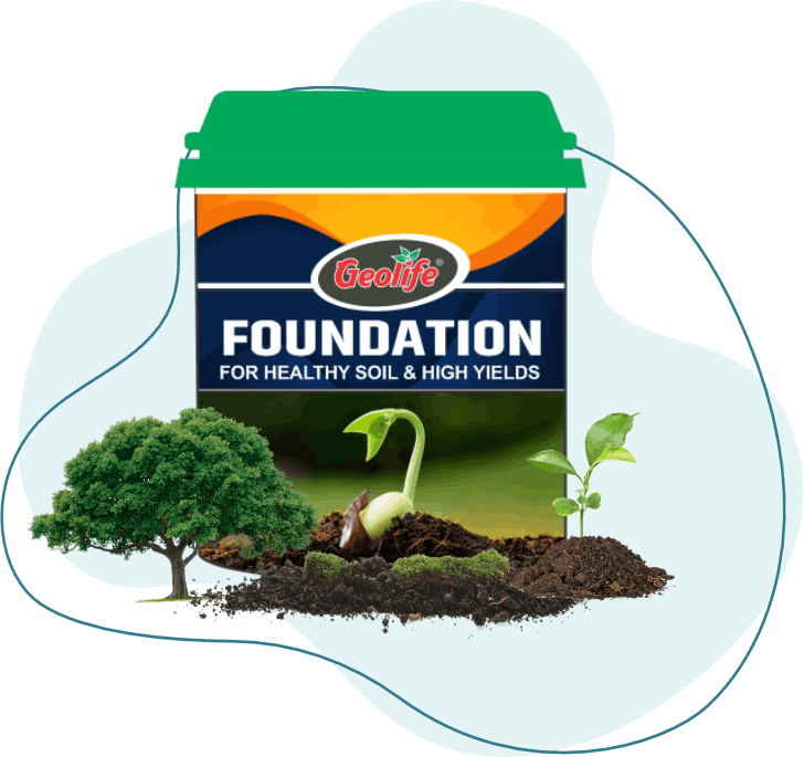 Geolife Foundation Micronutrient Mixture Fertilizer