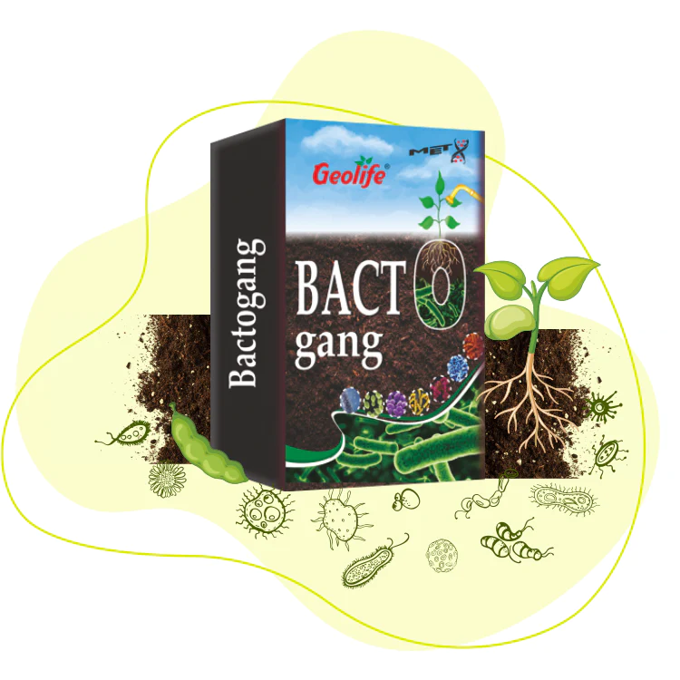 Bactogang Nanomeal Start (For Initial Growth Stage)  