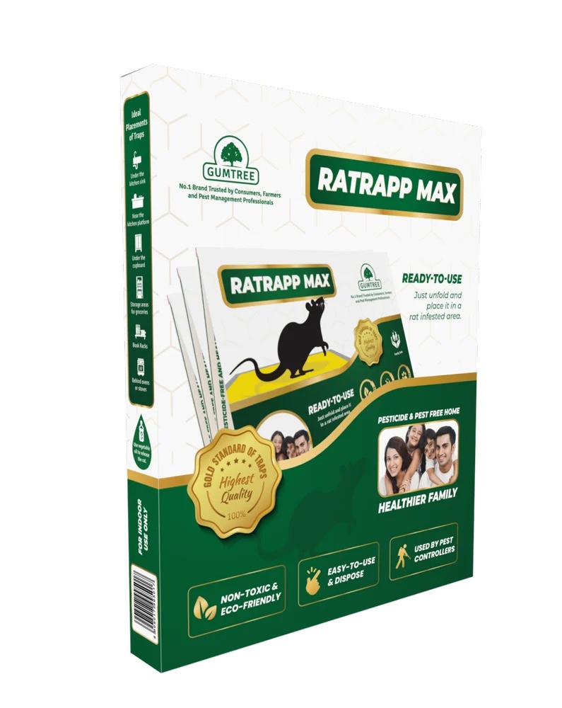Ratrapp Max (Rat Glue Trap – Big)