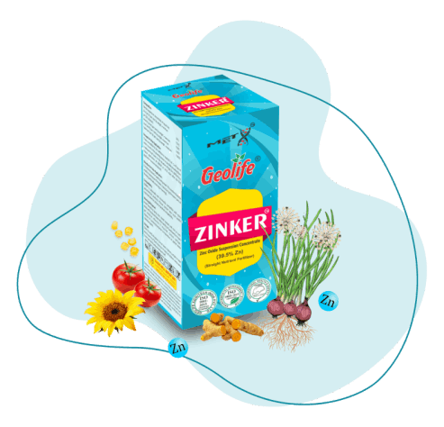 Zinker - Zinc Oxide Suspension Concentrate (39.5%Zn)