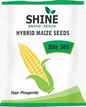 Hybrid Maize Seeds 303