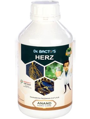 Dr. Bacto's  Herz