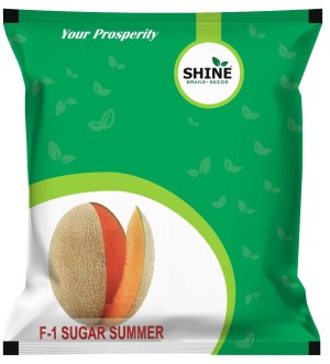 Musk Melon Sugar Summer F1 Hybrid , Kharbooja  