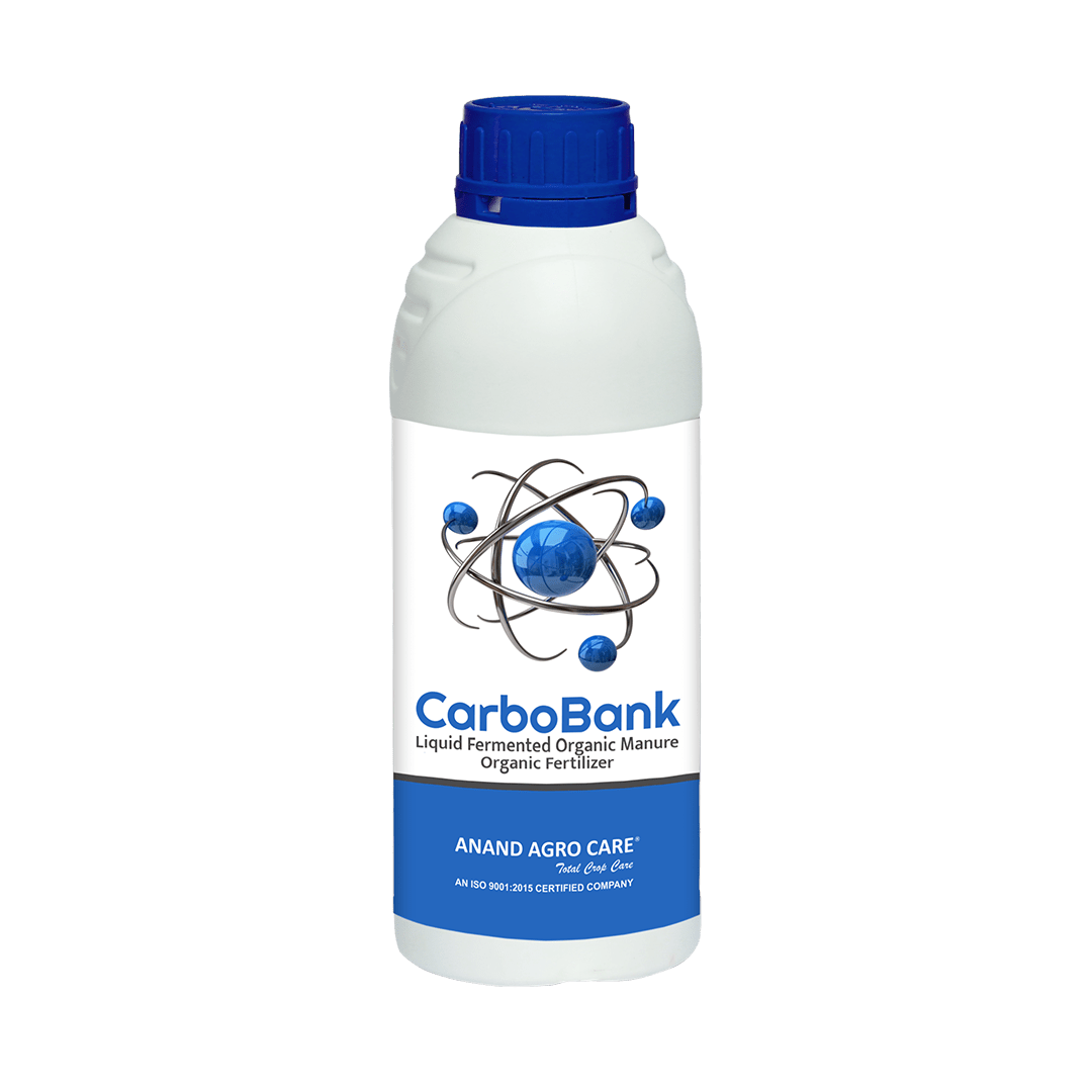Carbo Bank (Liquid Fermented Organic Manure)