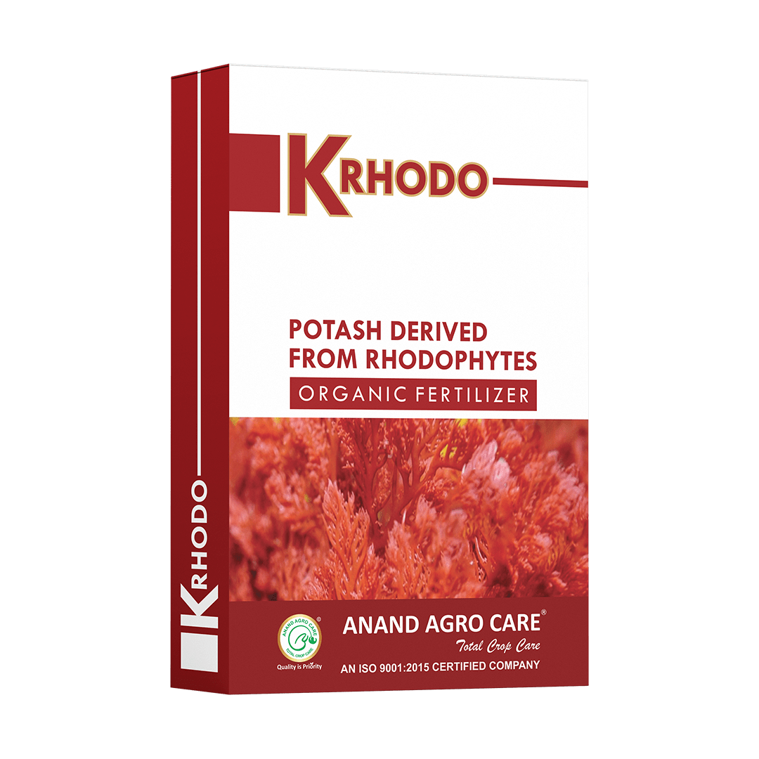 K-Rhodo (Potash Derived from Rhodophytes-K- 20%  and S- 1.5% )