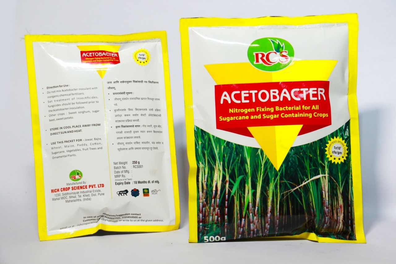 RCS's Acetobacter