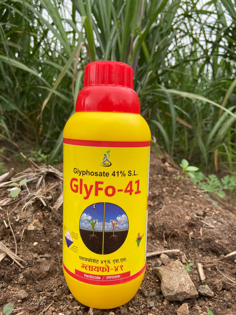 GlyFo-41 (Glyphosate 41% S.L)