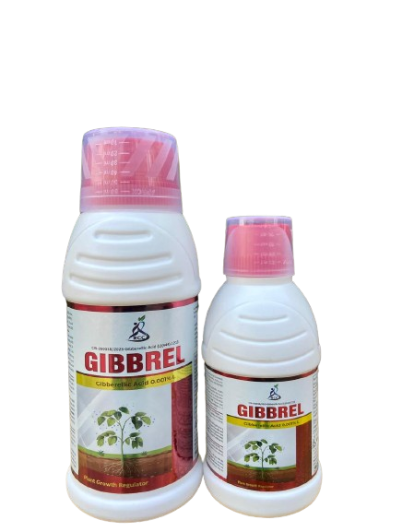 Gibbrel Plant growth regulator
