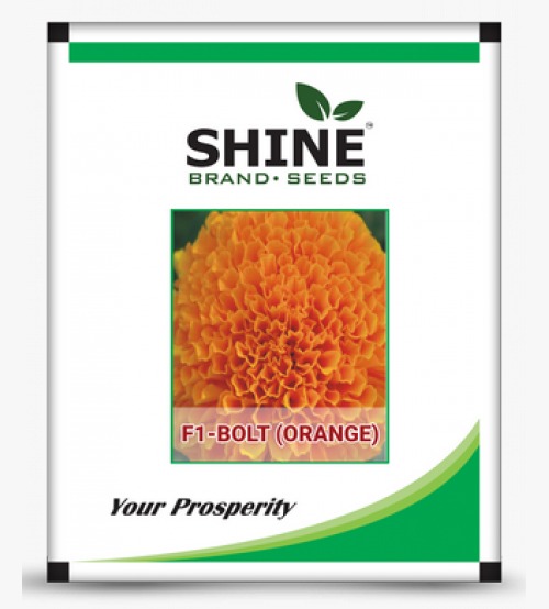 Marigold Bolt Orange F1 - Shine Brand Seeds, Genda