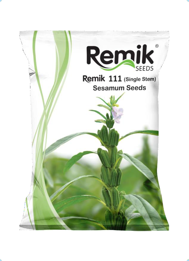 REMIK– 111 (SINGLE STEM) Sesamum Seeds