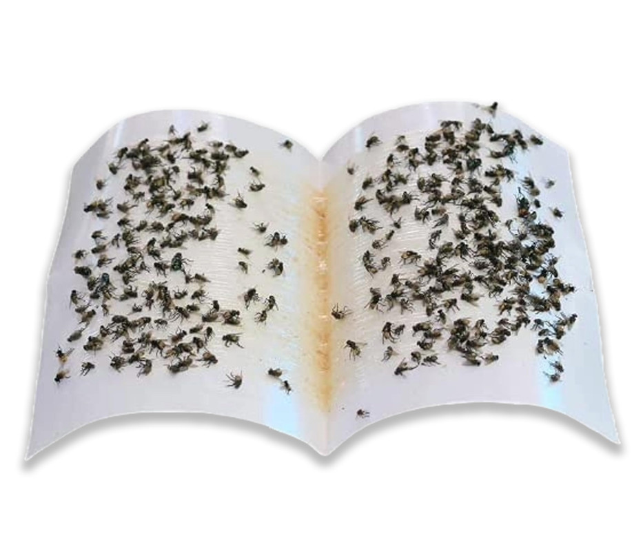 Chipku Fly Trap for Home Glue Trap for HouseFly, Sticky Fly Stick Paper