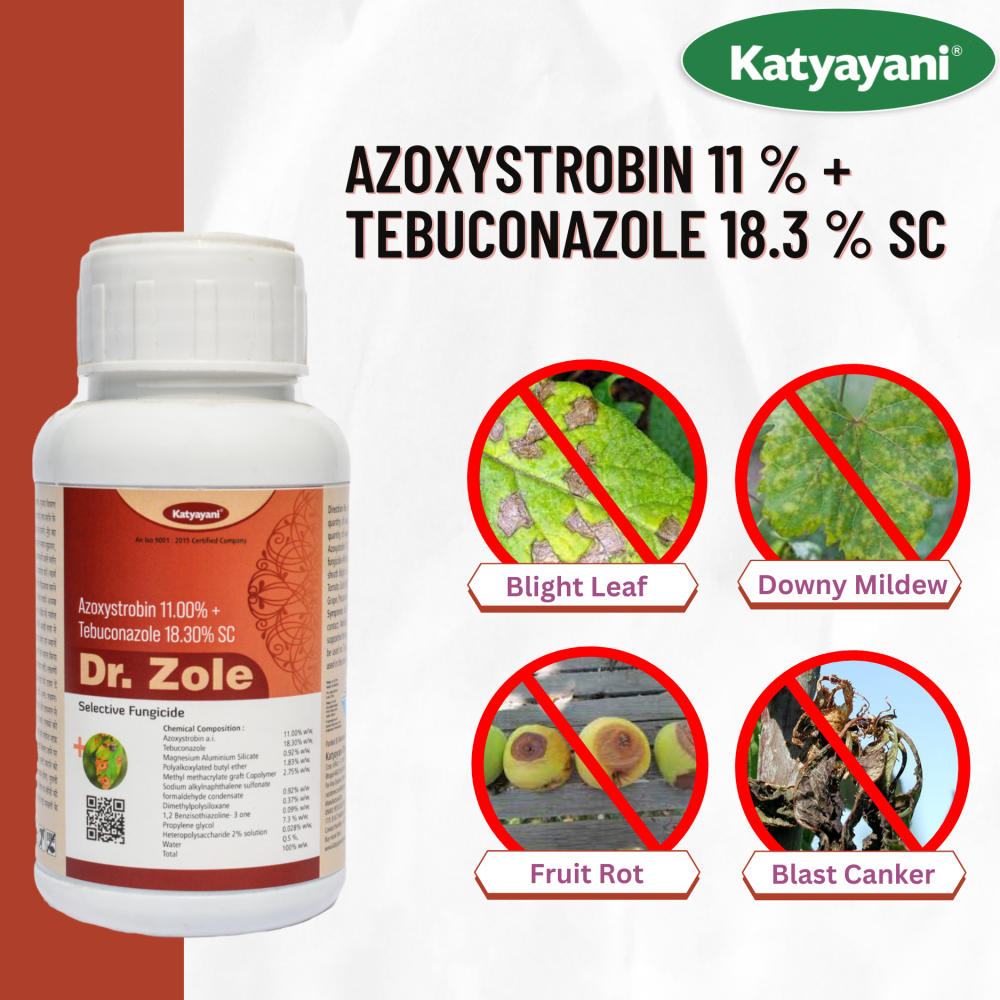 Katyayani Dr Zole Azoxystrobin 11.00 % Tebuconazole 18.30 % SC