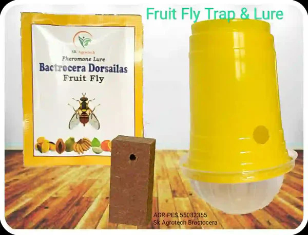 SK Agrotech Pheromone Eco Trap with Fruit Fly Lure (Bactrocera Dorsalis)