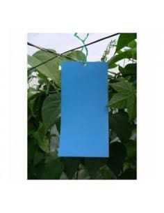 Blue Sticky Insect Trap-  Economical