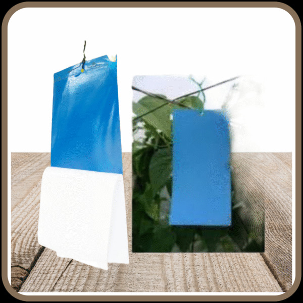 BLUE STICKY INSECT TRAP -  Blue Sheet Size 28x11 CM | Crop Protection Trap | Greenhouse Insect Trap | Eco-Friendly Trap | Non-Toxic Trap