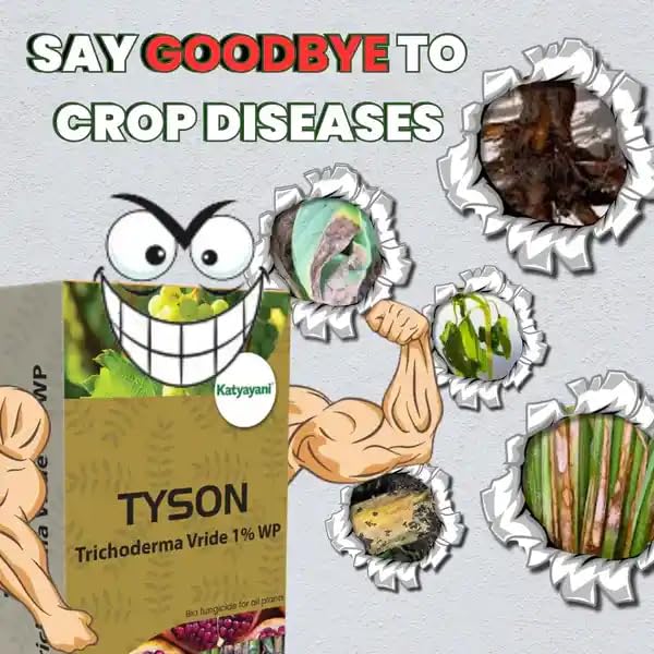 Katyayani TYSON | Trichoderma Viride 1% WP | POWDER BIO FUNGICIDE