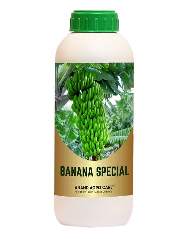 Banana Special (Growth Promoter) 