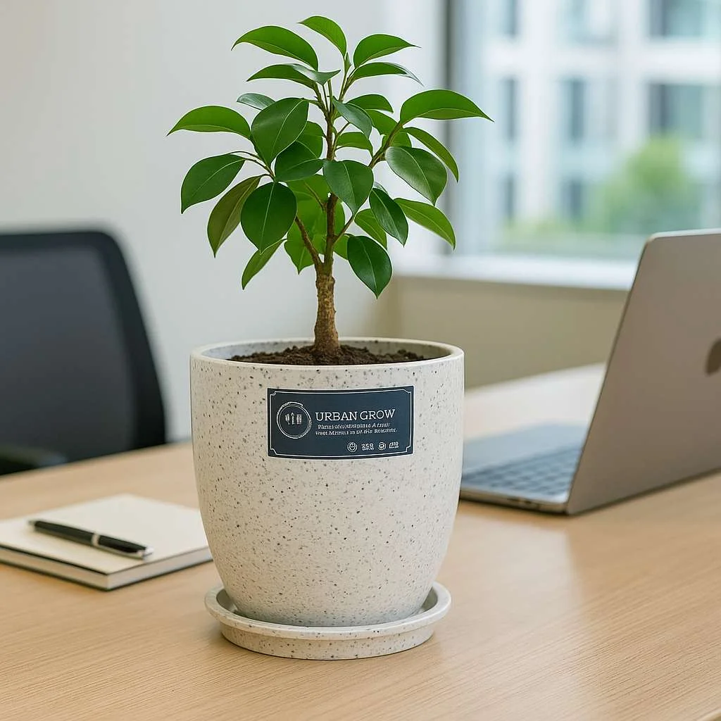 URBAN GROW | Aroma Pots – Home Garden Pots | Indoor Aroma Planters | Decorative Aroma Pots | Fragrance Pots