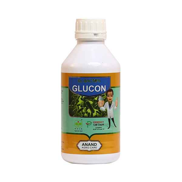 Dr. Bacto's Glucon Acetobacter Spp bio fertilizer 
