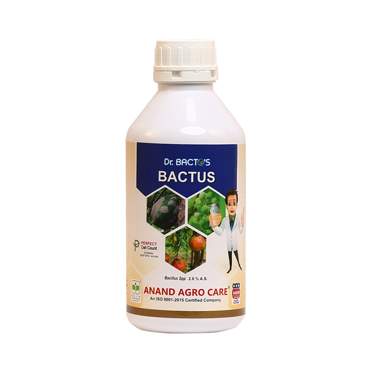 Dr. Bacto's  Bactus 