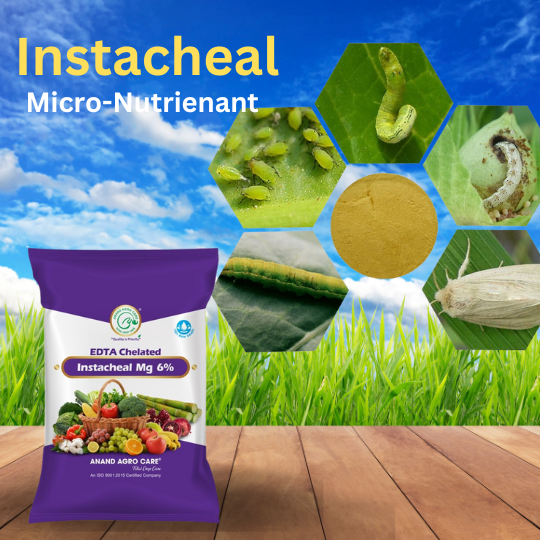Instacheal Magnesium (Mg)6%  micronutrients fertilizer  