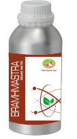 Brahmastra Organic Pesticide for sucking pest 