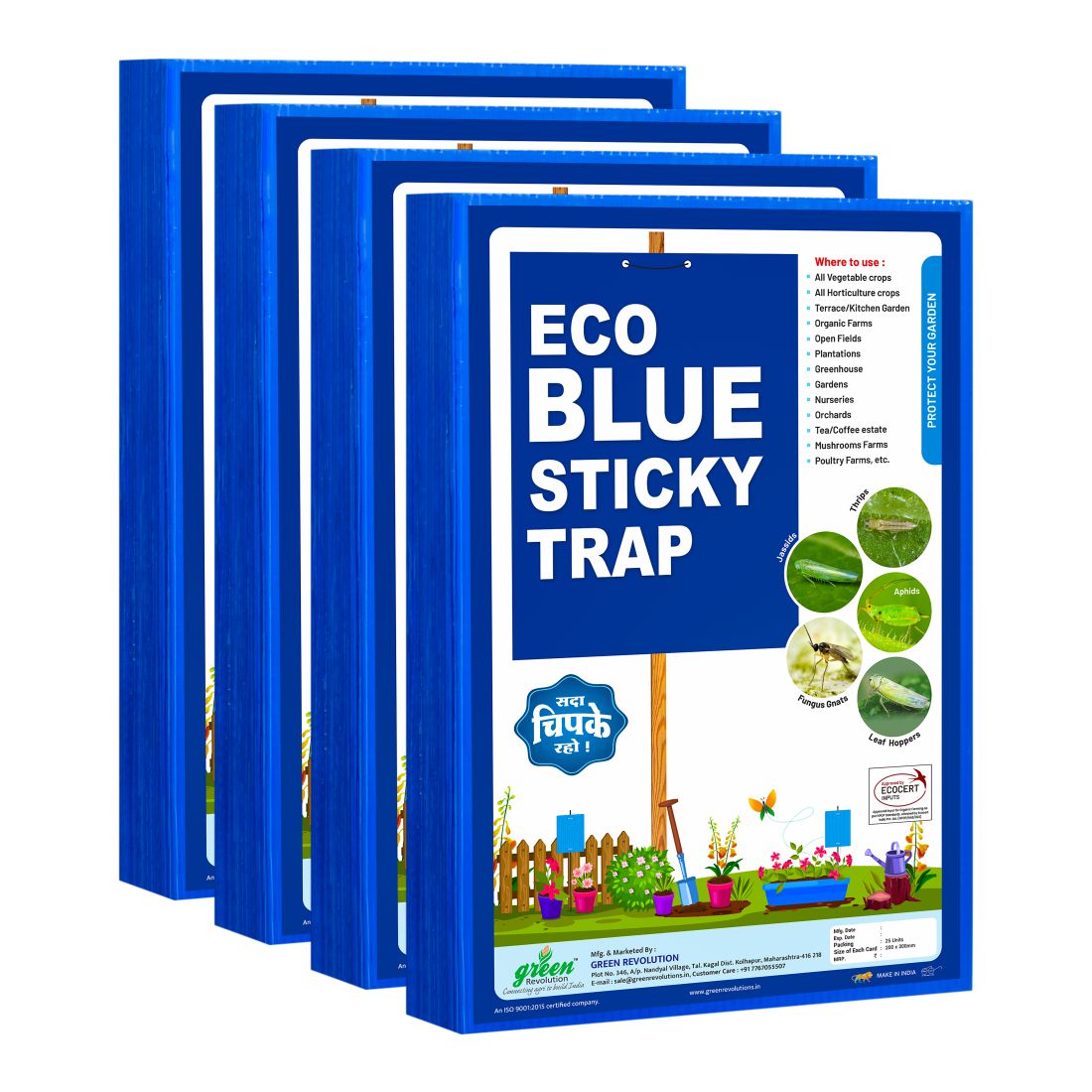  ECO Blue Sticky Trap (A4 Size) - Controls Whitefly, Thrips, Aphids & Jassids for Garden & Farm