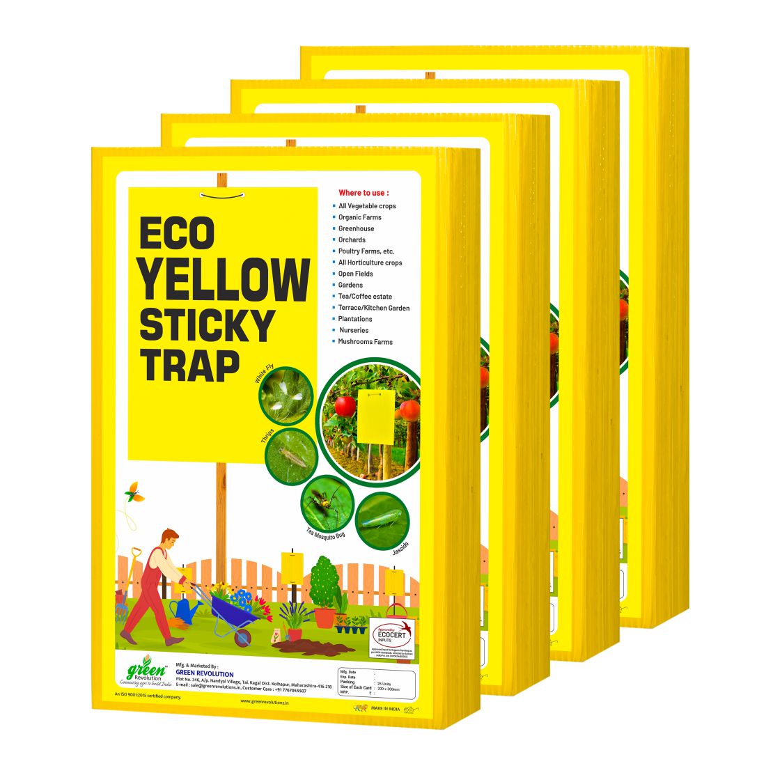  ECO Yellow Sticky Trap (A4 Size) - Controls Whitefly, Thrips, Aphids & Jassids for Garden & Farm