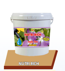 Nutririch Micronutrient Combo Powder 