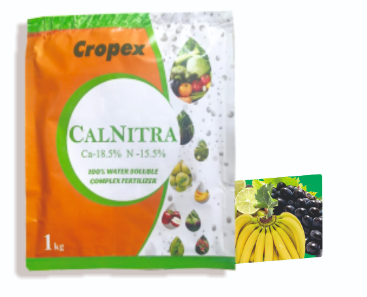 CALNITRA Plant Growth Nutrient  Ca 18.5 %, N 15.5 %, 100 % Water Solution  