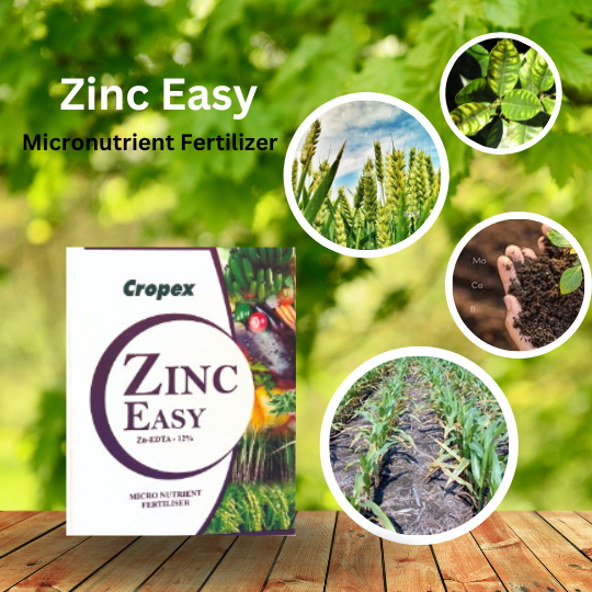 Zinc Easy Micronutrient Fertilizer 