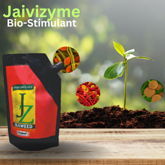 JaiviZyme (Seeweed Extract 10%) 